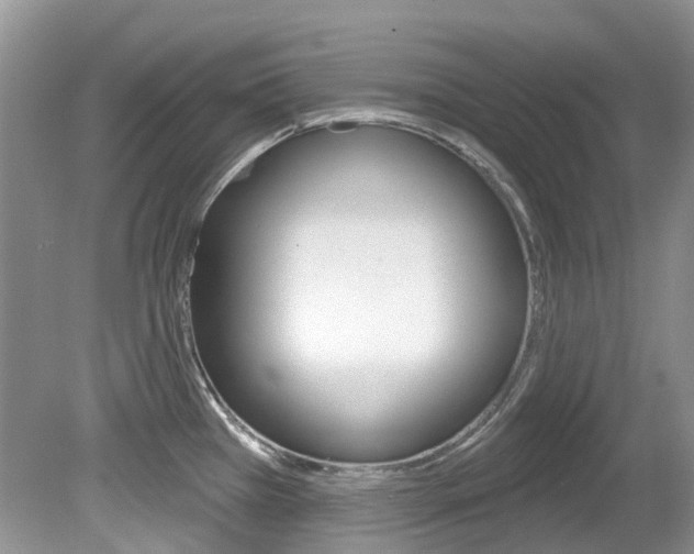 X0000080151385200612081041