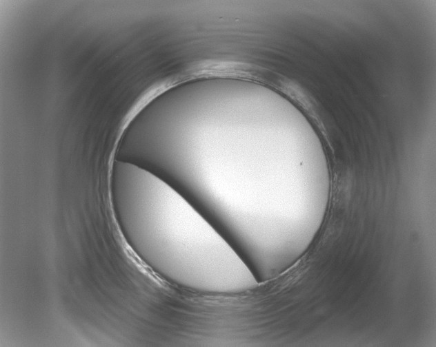 X0000080151386200612081041