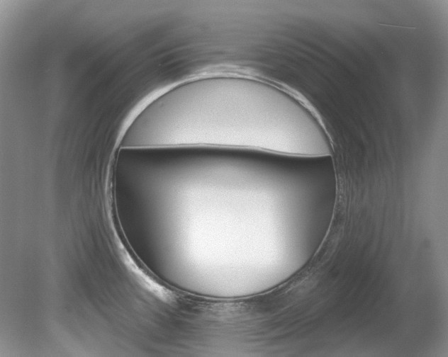X0000080151387200612081041