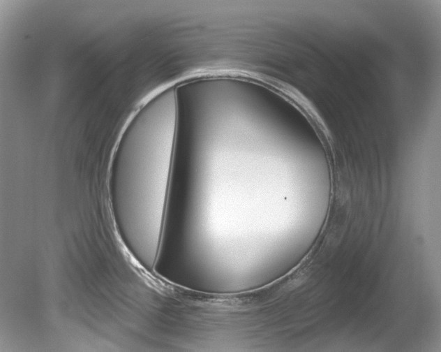 X0000080151388200612081041