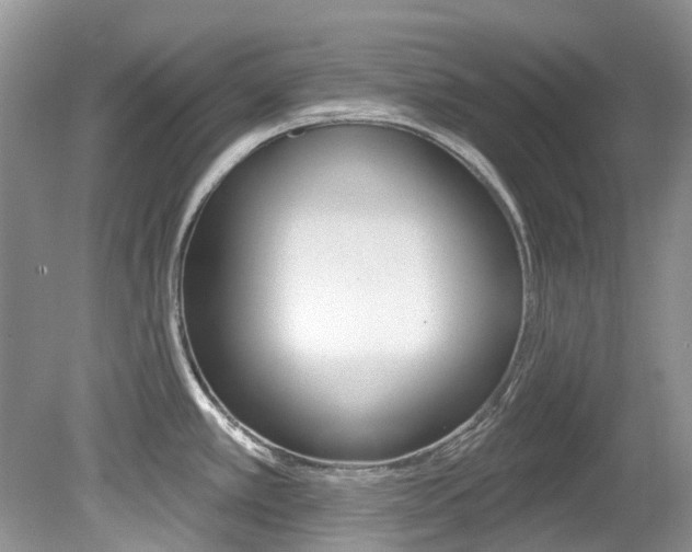 X0000080151389200612081041