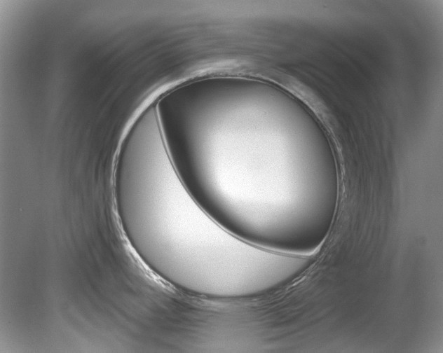 X0000080151392200612081041