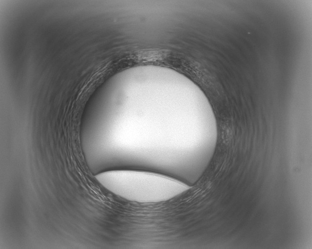 X0000080151393200612081040