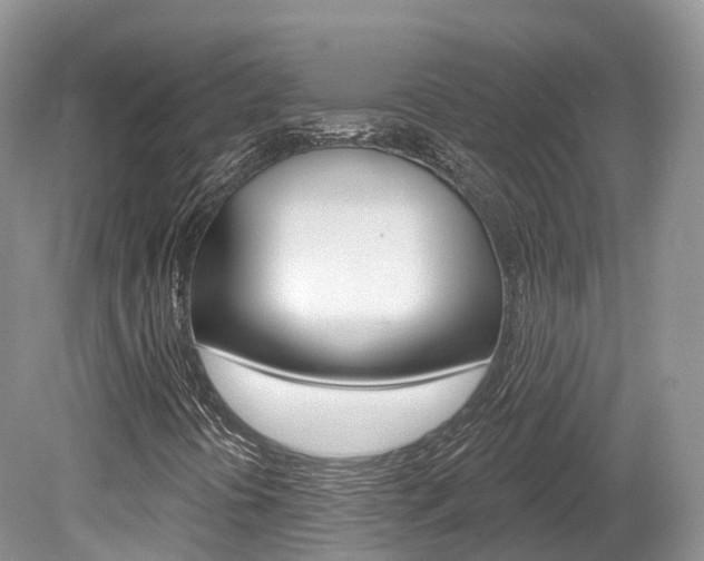 X0000080151394200612081040