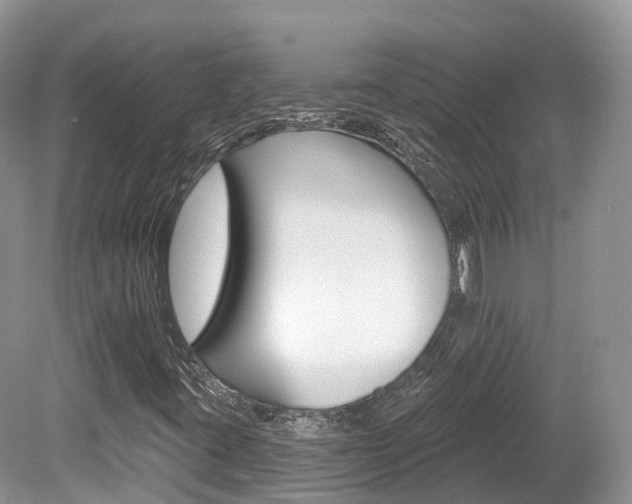 X0000080151395200612081040