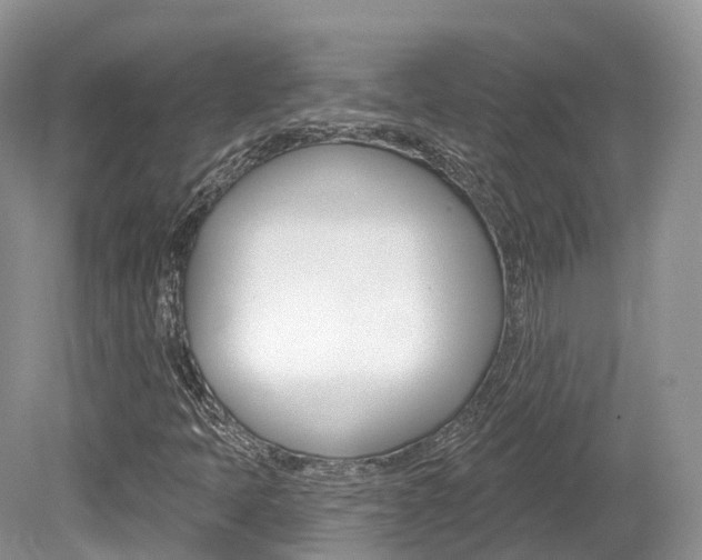 X0000080151397200612081040