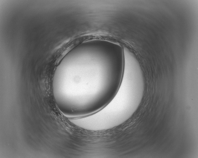 X0000080151398200612081040