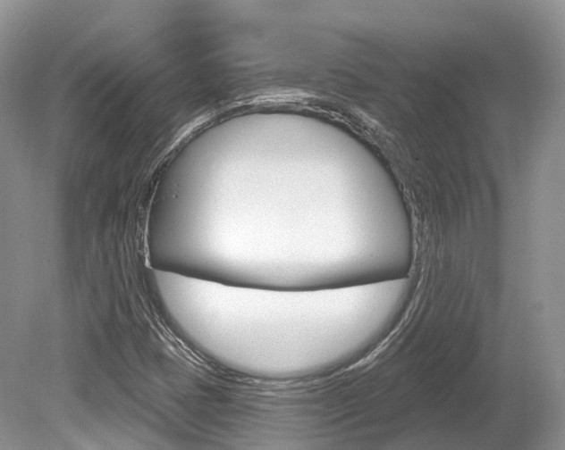 X0000080151401200612081040
