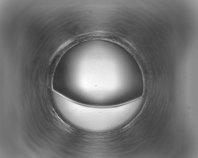 X0000080151402200612081040