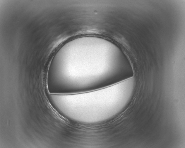 X0000080151404200612081040