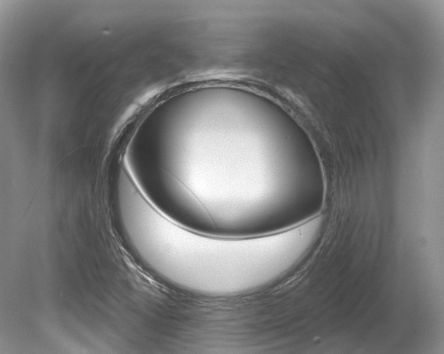 X0000080151406200612081040