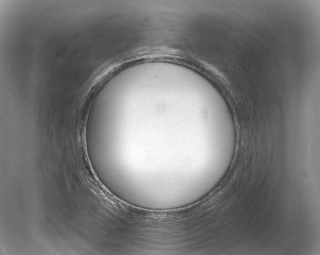 X0000080151407200612081040