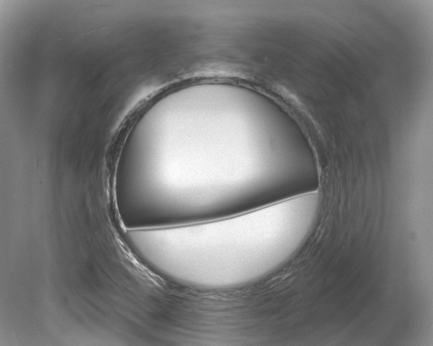 X0000080151408200612081040