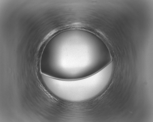 X0000080151410200612081040