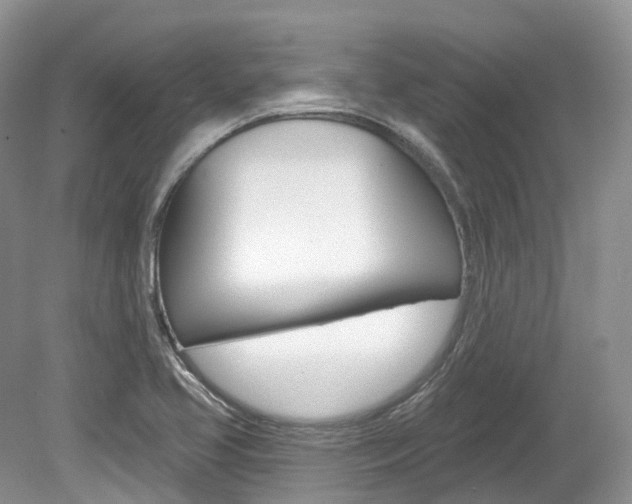 X0000080151413200612081040