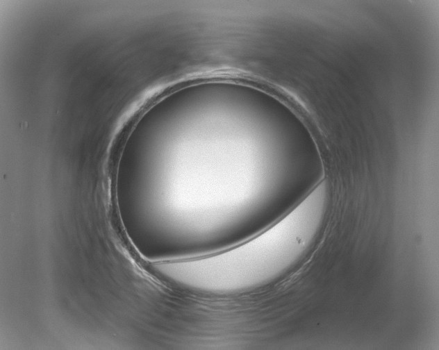 X0000080151414200612081040