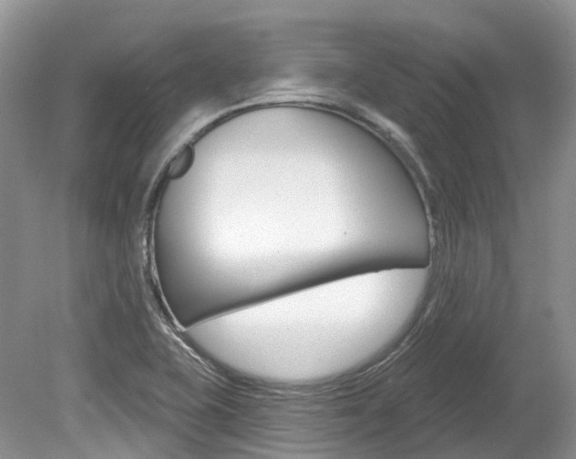 X0000080151415200612081040