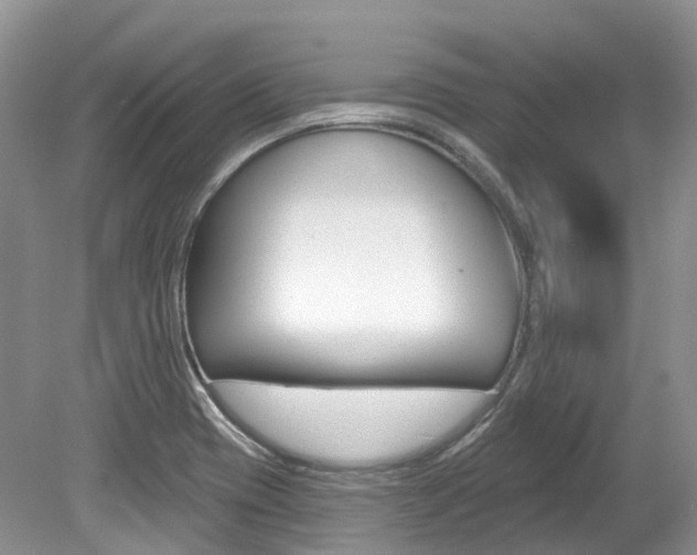 X0000080151417200612081040