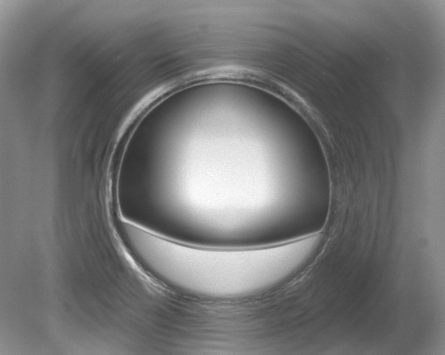 X0000080151418200612081040
