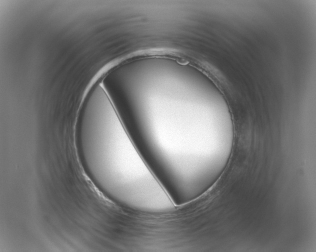 X0000080151420200612081040