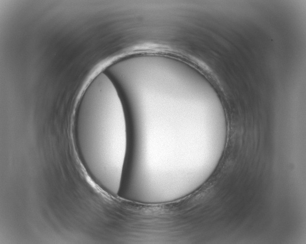 X0000080151421200612081040