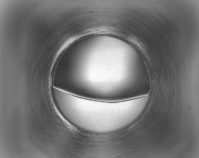 X0000080151424200612081041