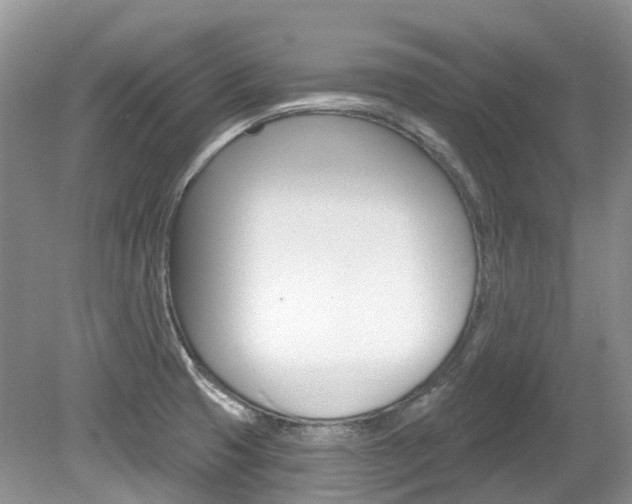 X0000080151425200612081041