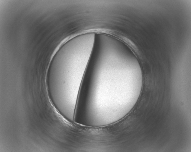 X0000080151428200612081041