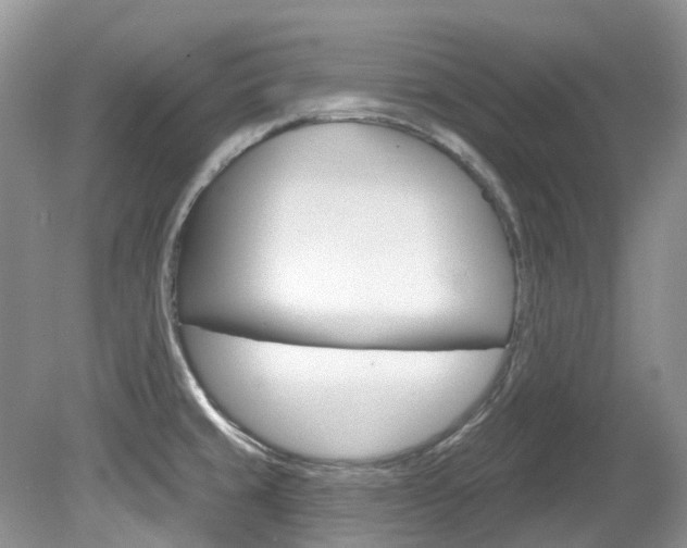 X0000080151429200612081041