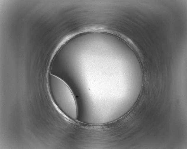 X0000080151432200612081041
