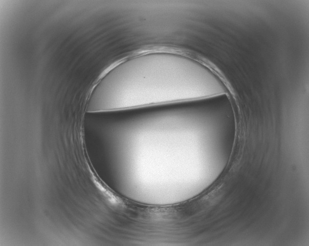 X0000080151433200612081041