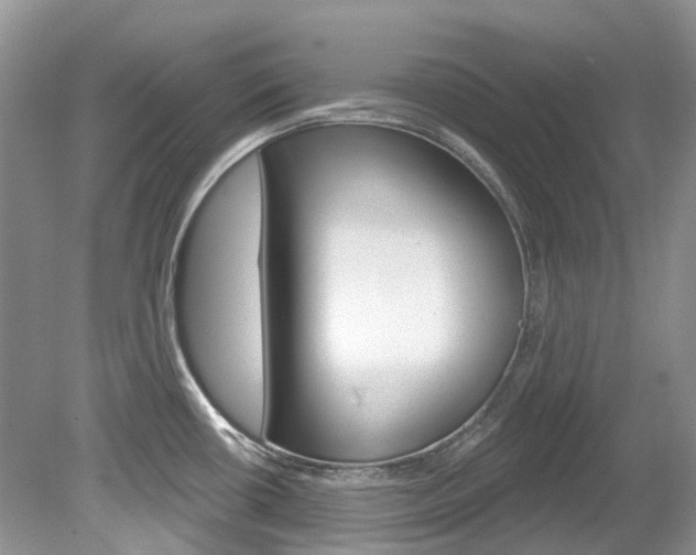 X0000080151434200612081041