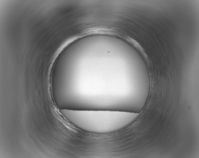 X0000080151435200612081041