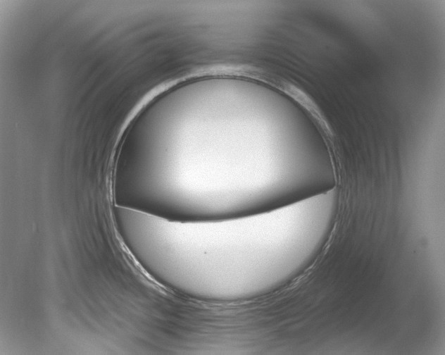 X0000080151436200612081041