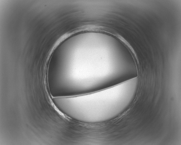 X0000080151437200612081041