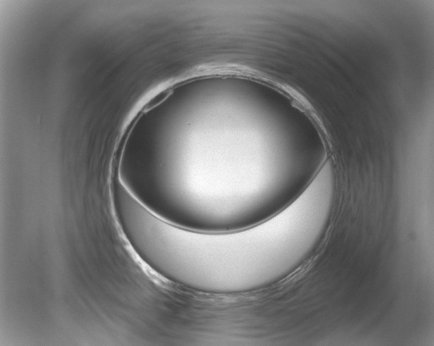 X0000080151438200612081041