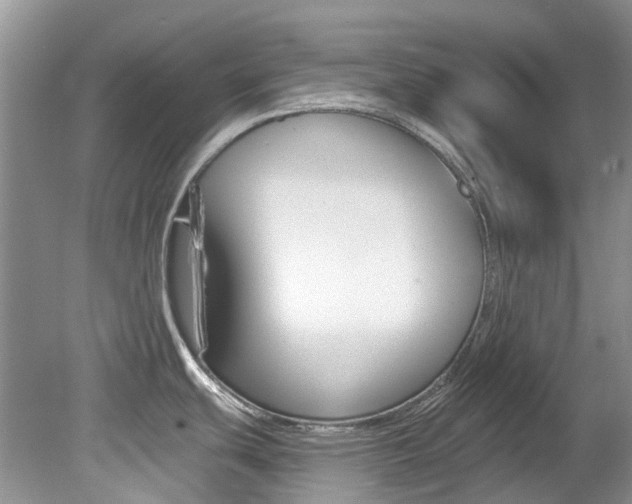 X0000080151439200612081041
