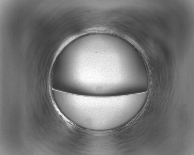 X0000080151440200612081041