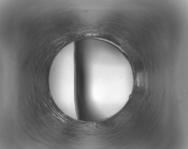 X0000080151444200612081040