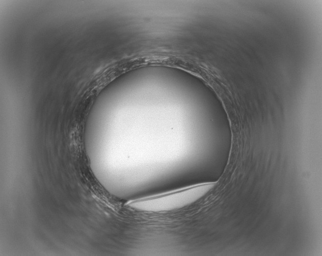 X0000080151445200612081040
