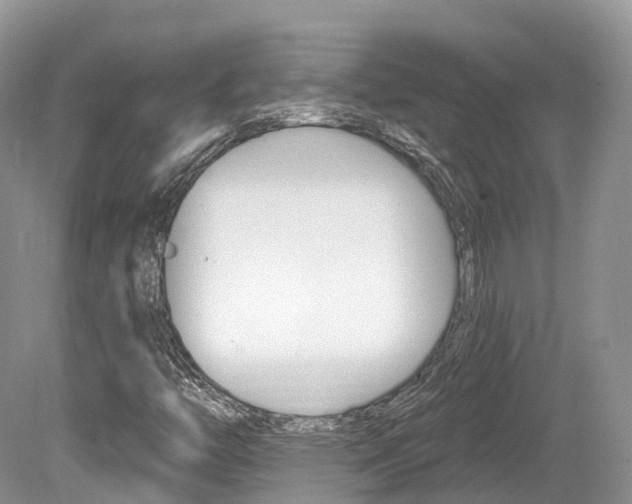 X0000080151446200612081040