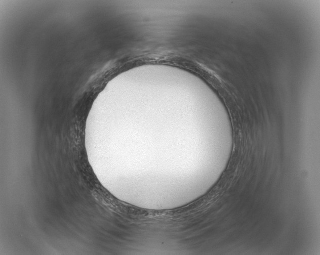 X0000080151447200612081040