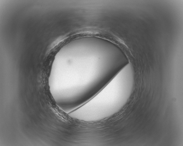 X0000080151448200612081040
