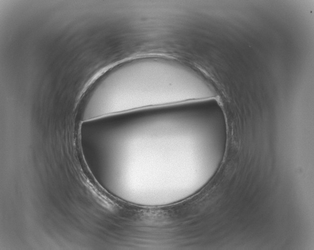 X0000080151452200612081040