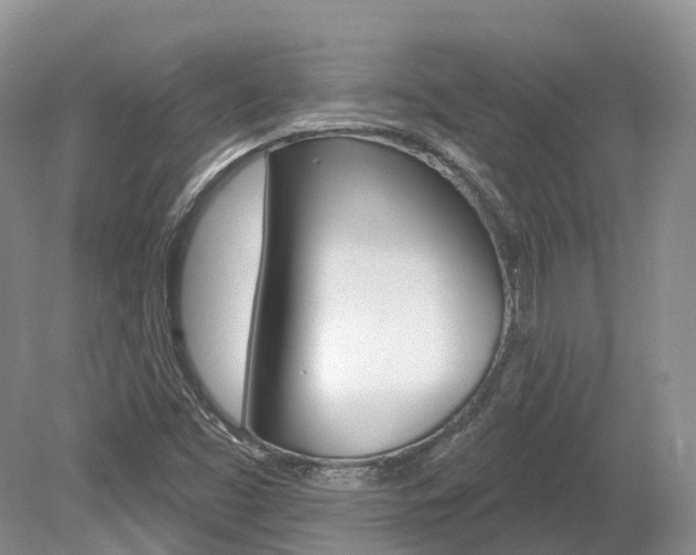 X0000080151453200612081040
