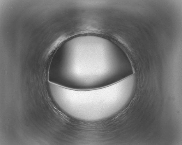 X0000080151455200612081040