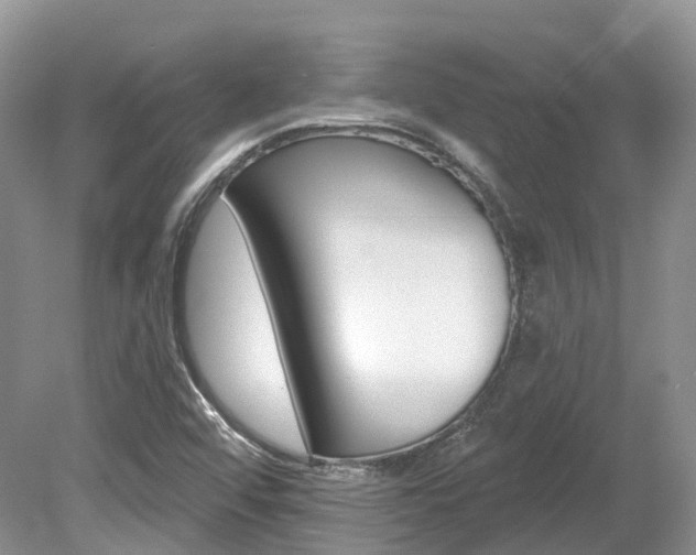 X0000080151456200612081040