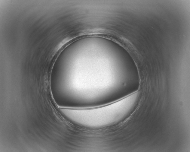 X0000080151457200612081040