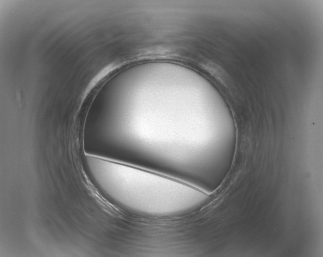 X0000080151458200612081040