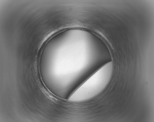 X0000080151460200612081040